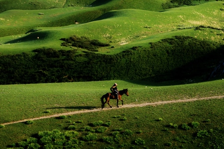 我要上封面-风光-新疆-喀拉峻草原-牧马人 图片素材