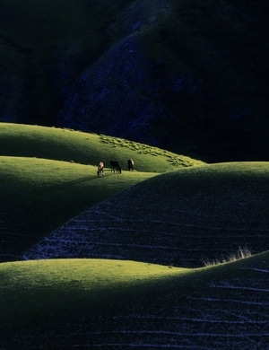 我要上封面-风光-新疆-喀拉峻草原-风景 图片素材