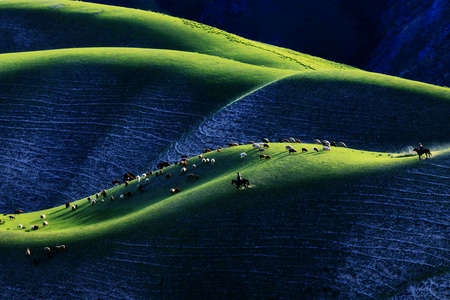 风光-色彩-光影-线条-喀拉峻草原 图片素材
