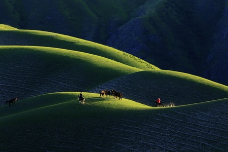 风光-喀拉峻草原-风景-草原-自然 图片素材