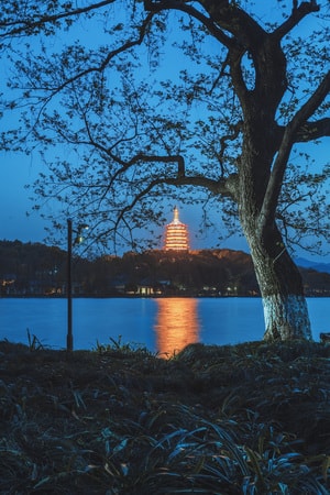 夜色-看你的城市-人文-西湖-春天 图片素材