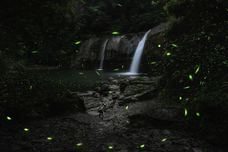 风光-自然-台湾-萤火虫-瀑布 图片素材