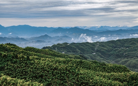 70周年摄影大赛-70周年风光-风光-绿色地球-蜀南竹海 图片素材