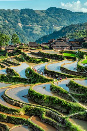 风景-村庄-旅游景点-山坡-加榜梯田 图片素材