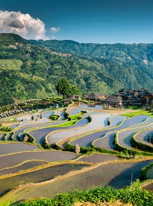 树林-风景-村庄-旅游景点-山坡 图片素材