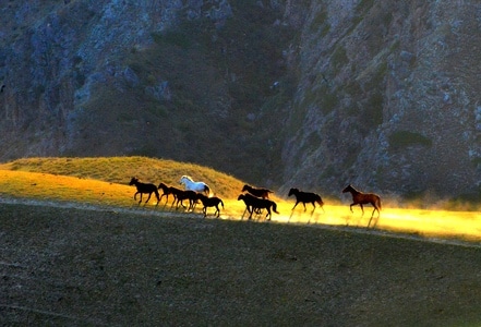 抓拍-风景-色彩-风光-风景 图片素材