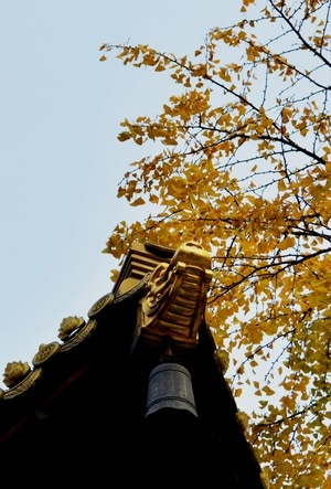 上海-抓拍-记录-纪实-风光 图片素材