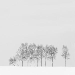雪-纯洁的视界-极简-黑白-听雪轻吟 图片素材