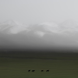 风光-新疆-风景-风光-高原 图片素材