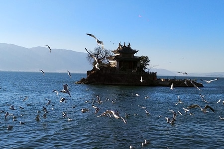 手机摄影-随手拍-大理白族自治州-风景-风光 图片素材