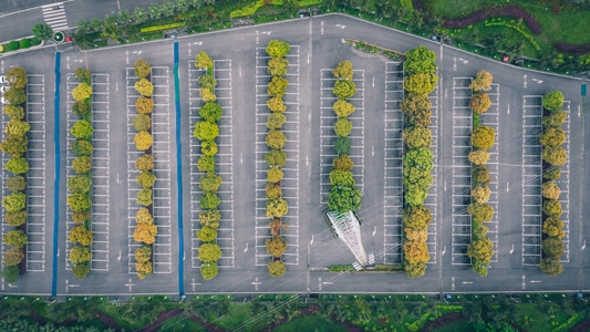 交通-重庆-停车场-树-高压线 图片素材