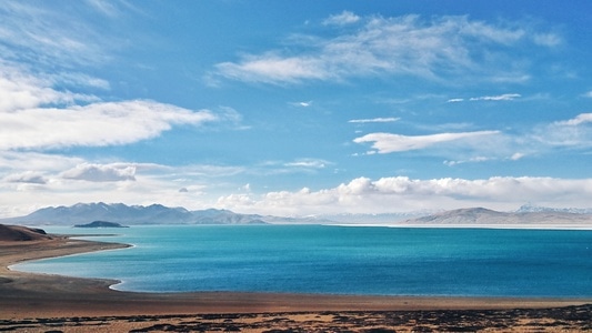 我的2019-冬日暖阳-风景-自然-风景 图片素材