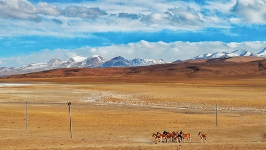 我的2019-风景-冬日暖阳-自然-风景 图片素材