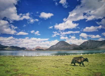 我的2019-风景-自然-风景-风光 图片素材