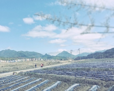 三明市-我要上封面-手机-城市色彩-昆虫总动员 图片素材