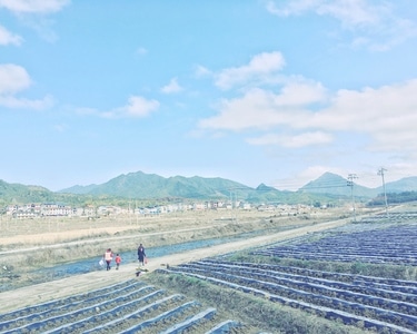 三明市-我要上封面-手机-城市色彩-昆虫总动员 图片素材