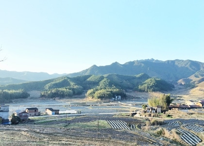 三明市-我要上封面-手机-城市色彩-昆虫总动员 图片素材