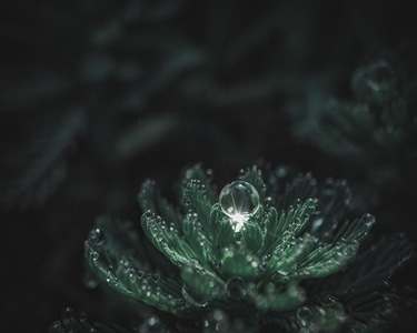 尘世烟火-城市色彩-手机-我要上封面-微距 图片素材