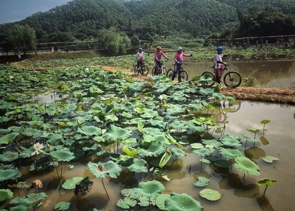 阳江市-纪实-生活-色彩-在路上 图片素材