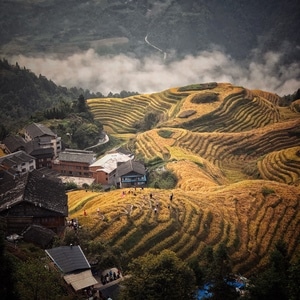 在路上-生活-手机-iphone-色彩 图片素材