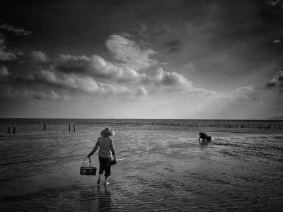 海边-iphone-人文-生活-手机 图片素材
