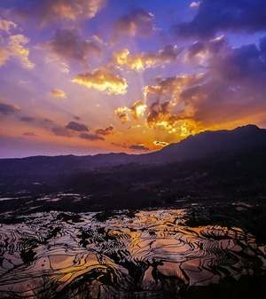 我和我的祖国手机摄影大赛-元阳梯田-祖国山河-风景-风光 图片素材