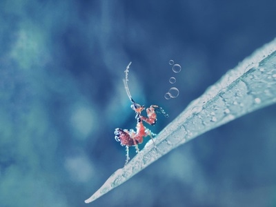 我要上封面-光影-色彩-微距-幻色 图片素材