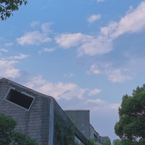 手机摄影-随手拍-城市一隅-夏天-vscocam 图片素材
