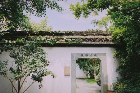 风光-随手拍-夏天-手机摄影-nomo 图片素材