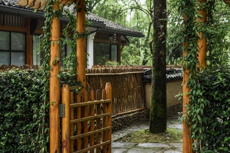 杭州-风景-西溪湿地-夏天-建筑 图片素材