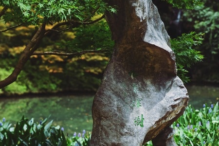 九溪烟树-杭州-城市一隅-💚-石头 图片素材