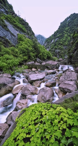 旅行-自然-夏天-绿色-安徽 图片素材