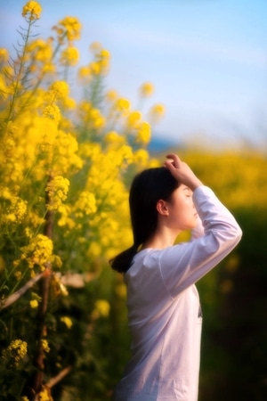 小清新-糖水片-户外-校园-写真 图片素材