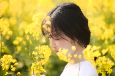 小清新-糖水片-户外-校园-写真 图片素材