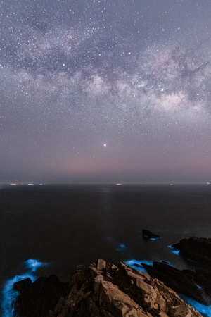 星空-蓝眼泪-平潭蓝眼泪-星空-银河 图片素材