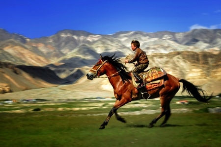 帕米尔高原-小骑手-追风少年-塔吉克-动物 图片素材