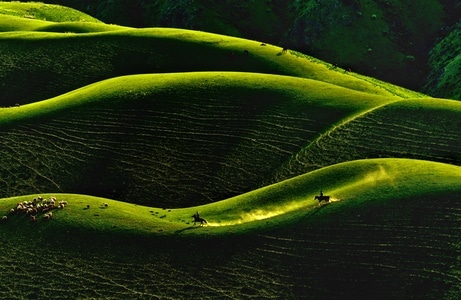 绿色地球-自然界-伊犁-人体草原-光影 图片素材