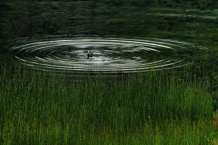 你好七月-风光摄影-自然界-有趣的瞬间-水面 图片素材