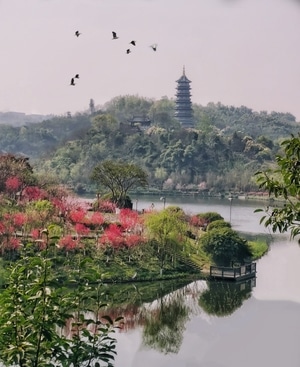 手机-节气-纪实-光影-公园 图片素材