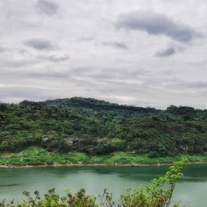 风景-你好2020-春天-色彩-春雨 图片素材