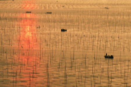 宅家-福建-霞浦-滩涂-海 图片素材