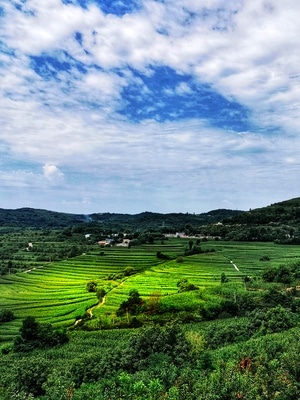 旅行-风光-风光-自然-风景 图片素材