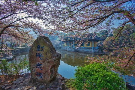 太湖-无锡-鼋头渚-鼋头渚-太湖 图片素材