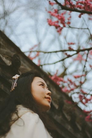 古风-汉服-阆中-本源堂-人像 图片素材