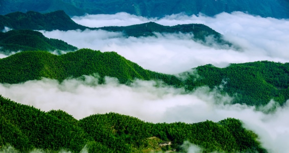 风光-川南-绿竹-云海-山峰 图片素材