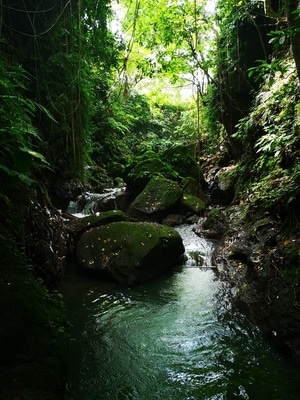 风景-旅行-风景-水流-溪流 图片素材