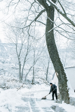 风景-风景-雪-雪地-树 图片素材
