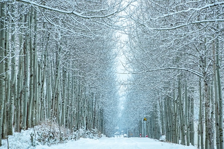 情绪-色彩-风景-雪地-道路 图片素材