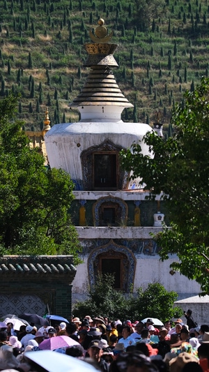 塔尔寺-青海-房屋-塔尔寺-寺庙 图片素材