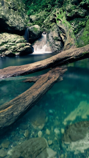 荣耀20-四川-峨眉山-乐山-旅行 图片素材